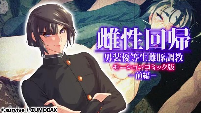 ���Իع� ��װ�ŵ���������� ǰ��