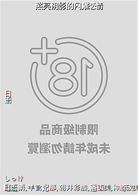 照亮阴影的闪耀恋情
