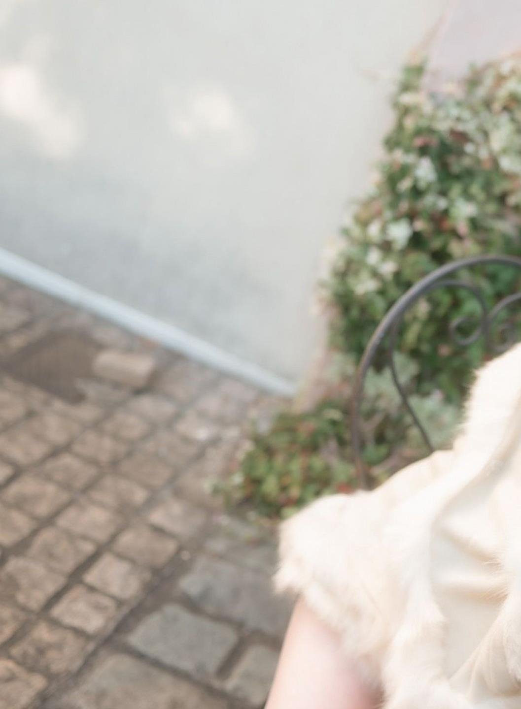 ������ɰ��������