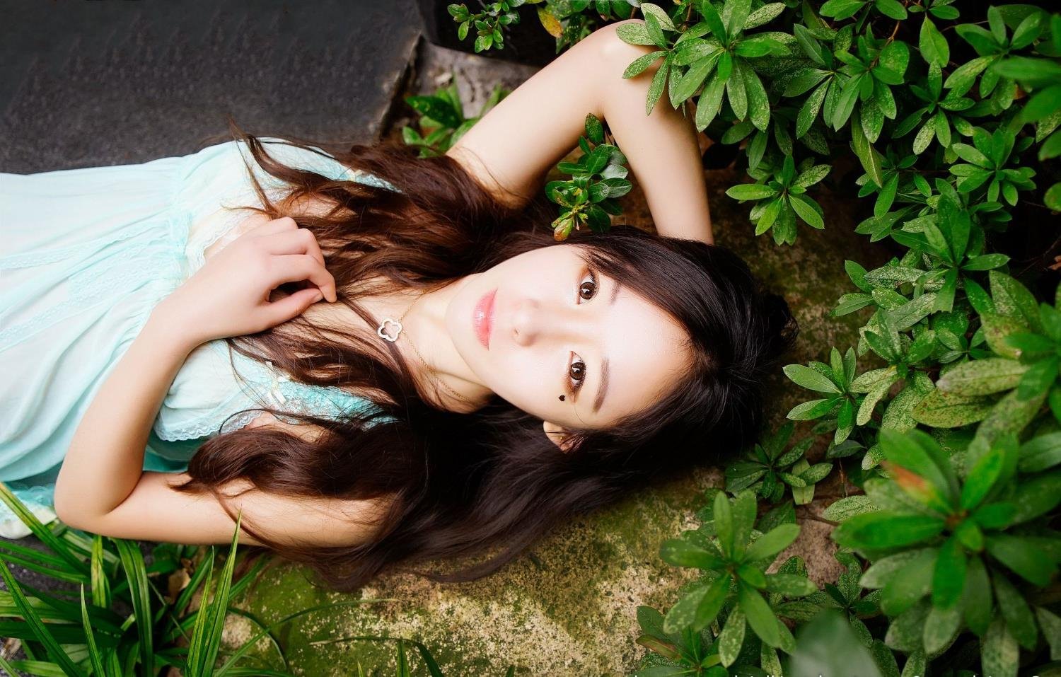 ��֪�������������