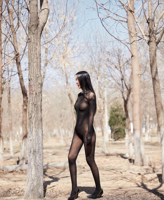 �����ջ�